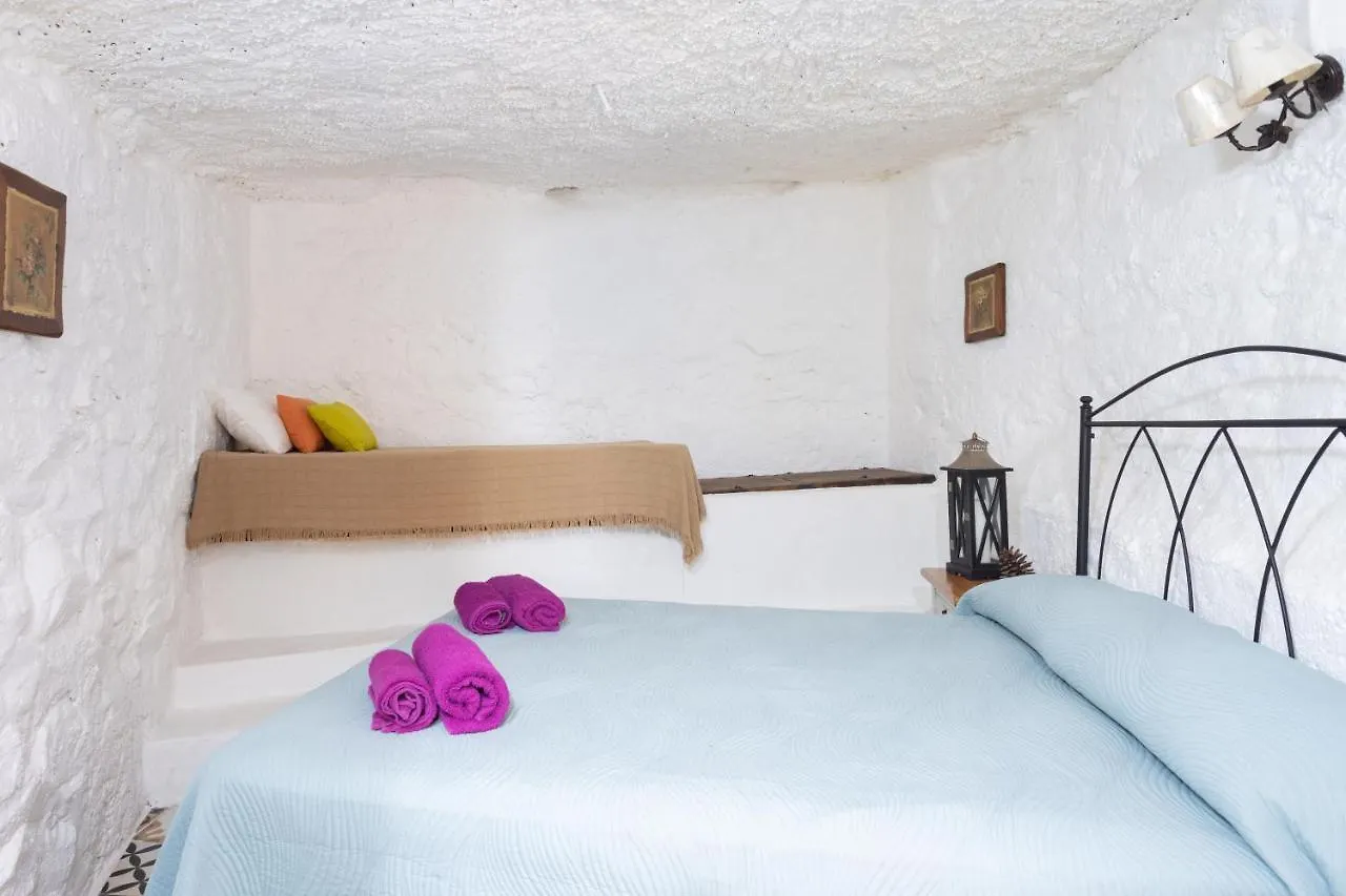 Casa Cueva Gaspara Arico 0*,