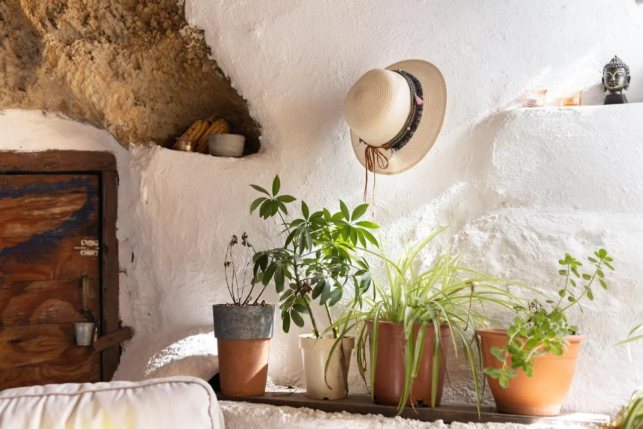 Vakantiehuis Casa Cueva Gaspara Arico